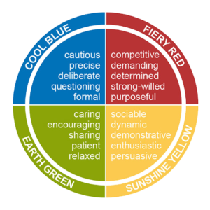insights discovery south africa